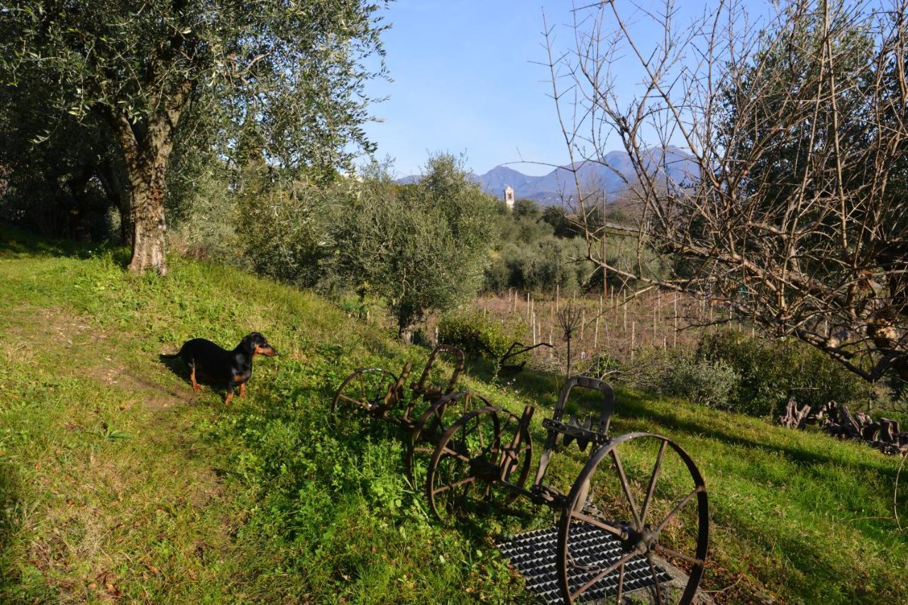 Antiche Mura Casa Vacanze Puegnago Eksteriør billede