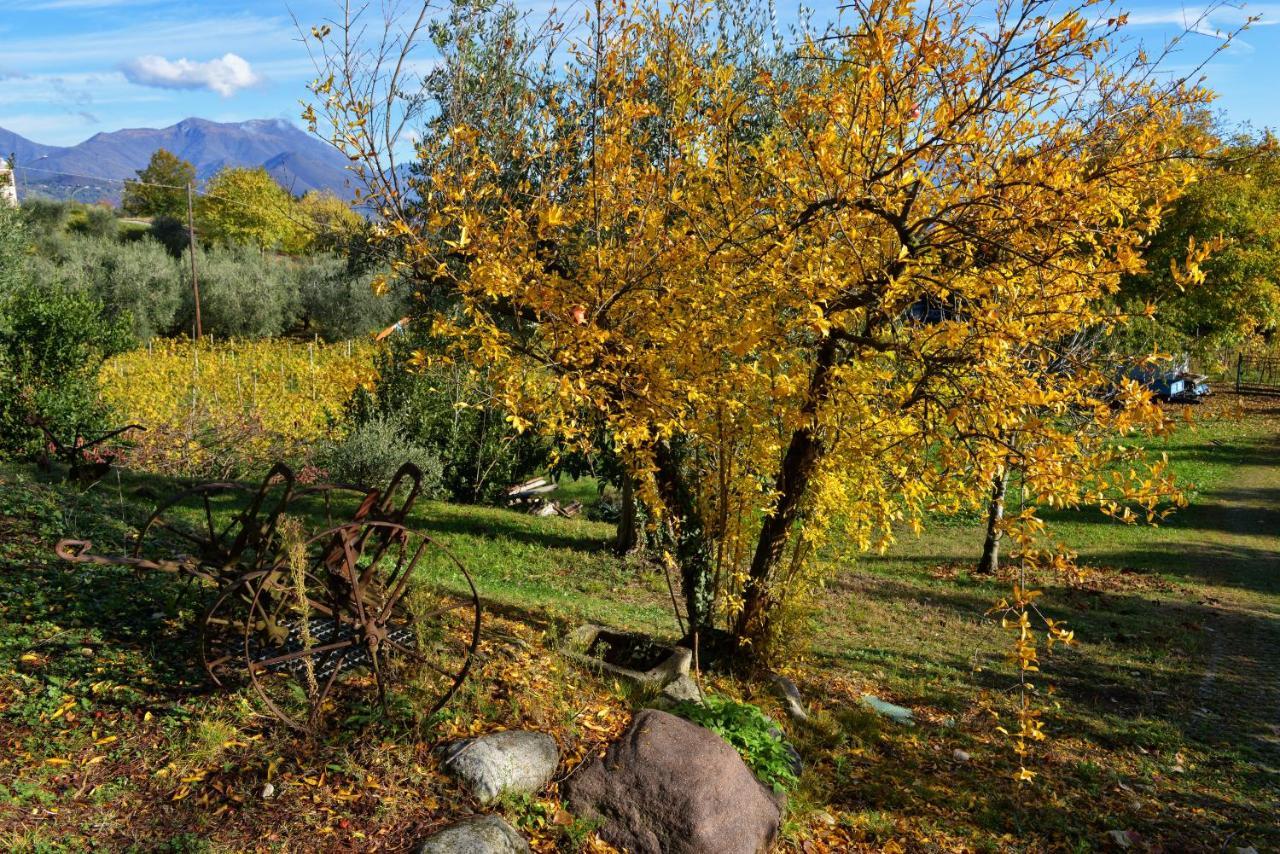 Antiche Mura Casa Vacanze Puegnago Eksteriør billede